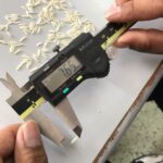 WhatsApp-Image-2018-04-02-at-14.52.27